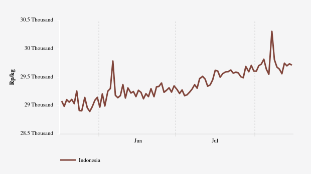 Harga Telur Ayam Nasional Sebulan Terakhir Naik Rp93