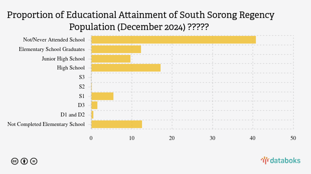 17,13% Penduduk Sorong Selatan Lulusan SMA pada Desember 2024