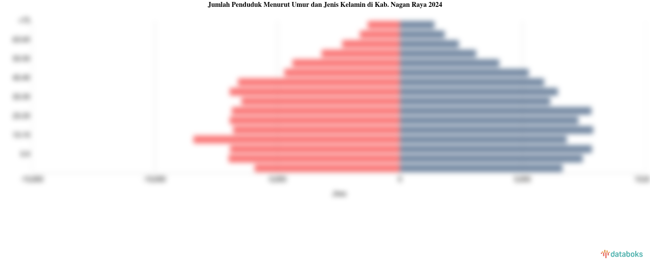 Jumlah Penduduk Menurut Umur dan Jenis Kelamin di Kab. Nagan Raya 2024