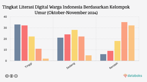 Tingkat Literasi Digital Warga Indonesia Berdasarkan Kelompok Umur (Oktober-November 2024)