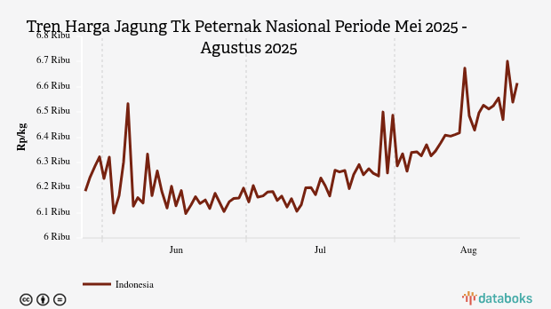 Harga Jagung Nasional Tiga Bulan Terakhir Naik 6,94%