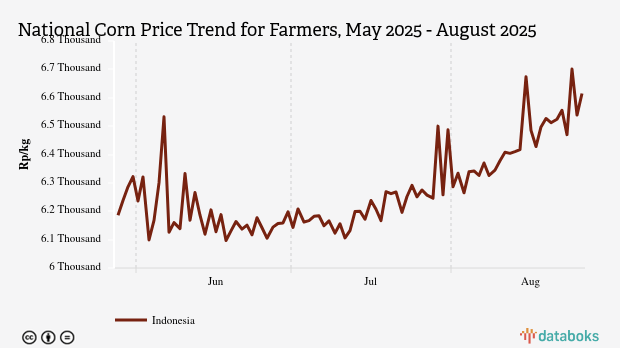 Harga Jagung Nasional Tiga Bulan Terakhir Naik 6,94%