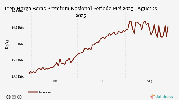 Harga Beras Premium Nasional Seminggu Terakhir Naik Rp129