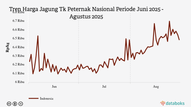 Harga Jagung Nasional Sebulan Terakhir Turun Rp2