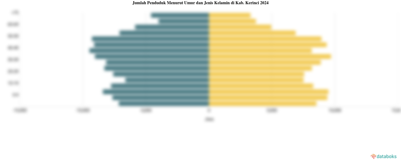 Jumlah Penduduk Menurut Umur dan Jenis Kelamin di Kab. Kerinci 2024
