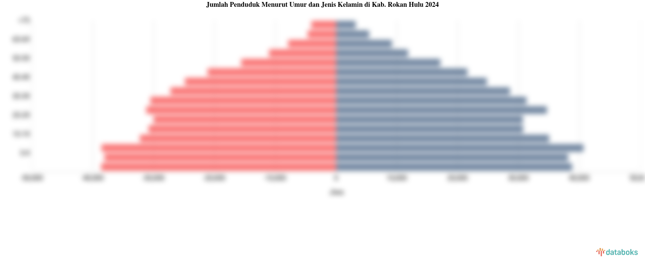 Jumlah Penduduk Menurut Umur dan Jenis Kelamin di Kab. Rokan Hulu 2024