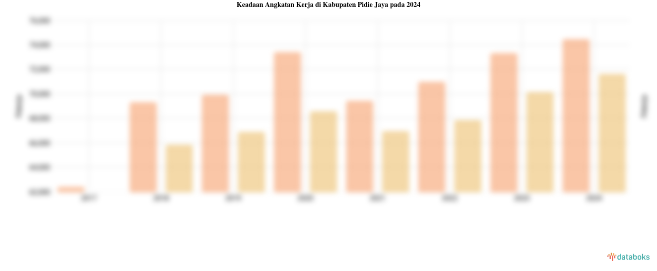 Keadaan Angkatan Kerja di Kabupaten Pidie Jaya pada 2024