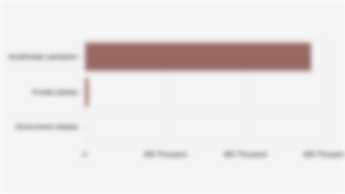 Indonesian Clove Plantation Area by Operational Status (2024)