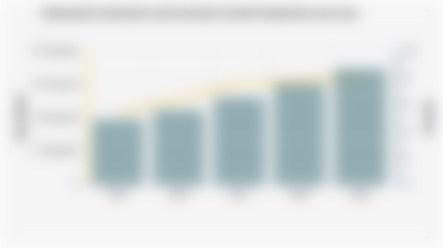 Indonesia's Investment and Economic Growth Projections 2025-2029
