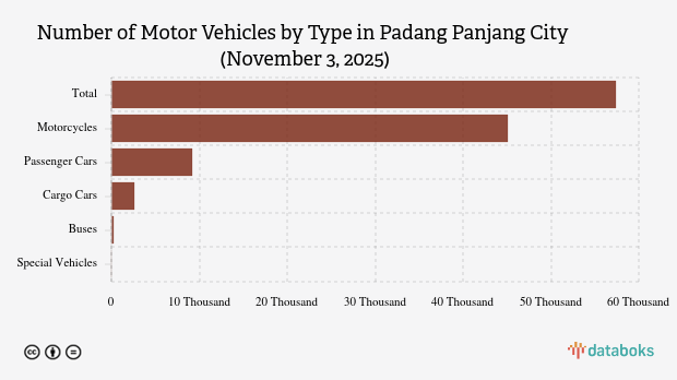 Number of Motor Vehicles by Type in Padang Panjang City (November 3, 2025)