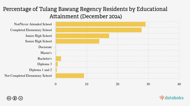 76,17 Ribu Penduduk Tulang Bawang Lulusan SMP pada Akhir 2024