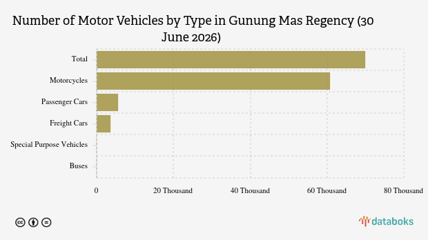 Number of Motor Vehicles in Gunung Mas Regency (30 June 2026)