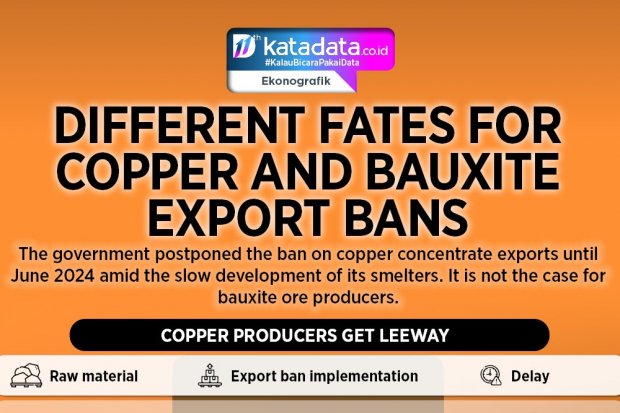 Different Fates for Copper and Bauxite Export Bans