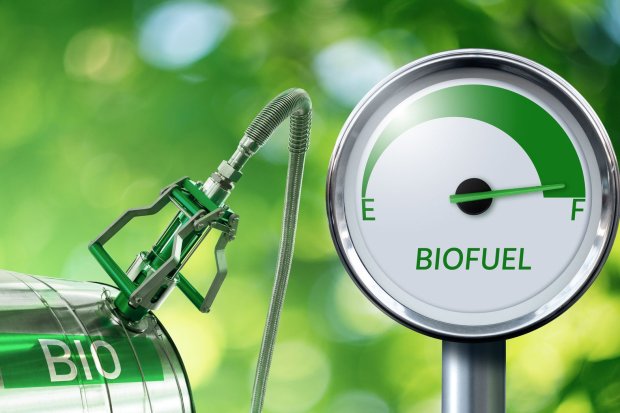biodiesel concept