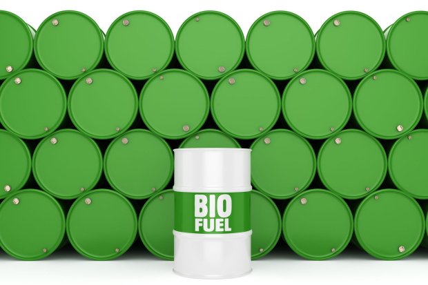 Biodiesel
