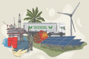 Menakar Kelanjutan Peran Biodiesel dalam Transisi Energi