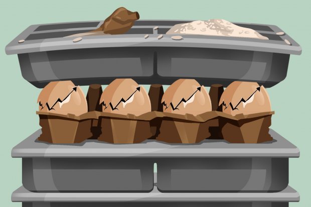 Harga Telur Melonjak, Siapa Terdampak?