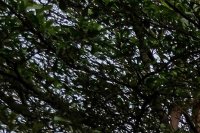 kaleidoskop Kementerian dan BUMN 2025