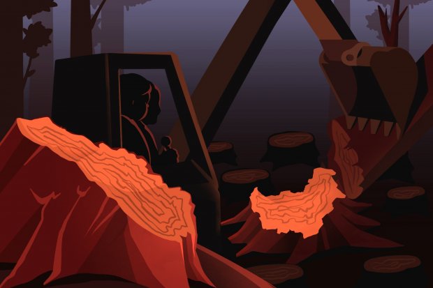 Bencana Mengintai Indonesia Akibat Masifnya Deforestasi 