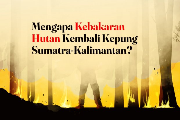 Mengapa Kebakaran Hutan Kembali Kepung Sumatra-Kalimantan?