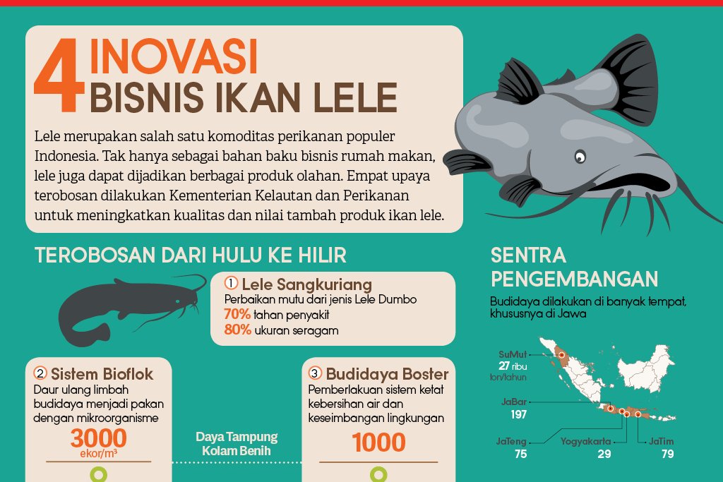 4 Inovasi Bisnis Ikan Lele 2