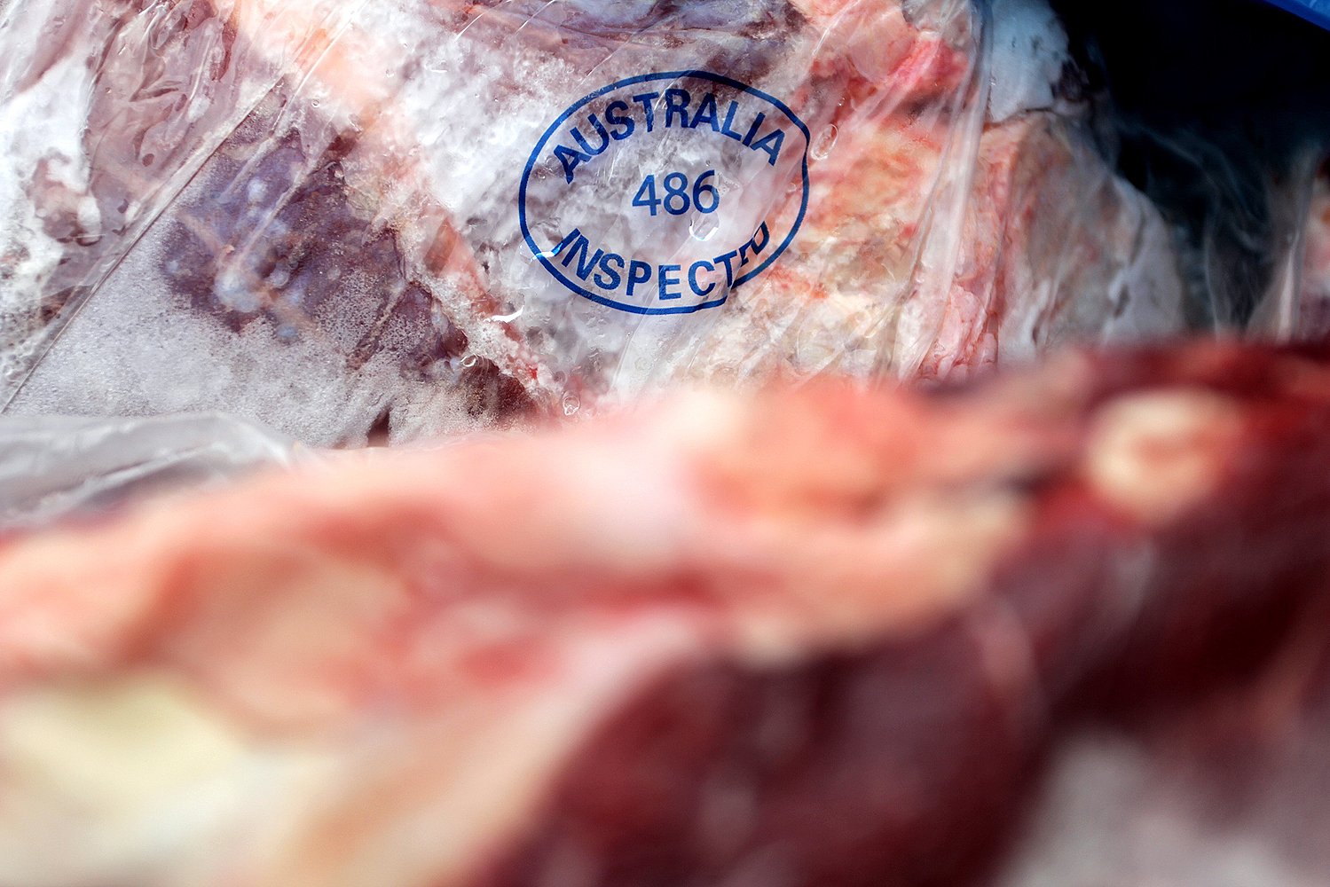 Bulog menjamin proses pemotongan sapi yang dagingnya diimpor dari Australia, sesuai dengan syariat Islam dan dijamin halal. 