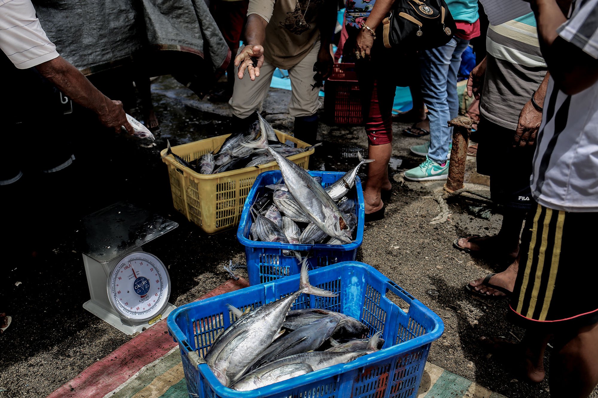 Bitung merupakan penghasil tuna cakalang terbesar di Indonesia, yang membuatnya dijuluki sebagai “Kota Cakalang”.