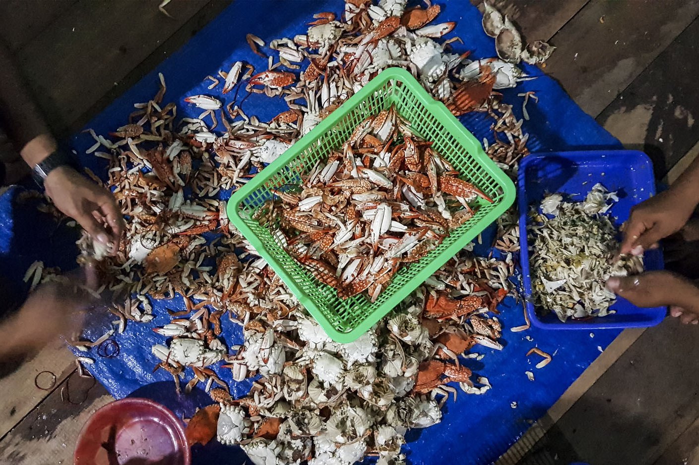 Nelayan mengupas kepiting rajungan di desa Sebala, Batu Gajah, Kabupaten Natuna, Kepulauan Riau, Kamis (27/7).