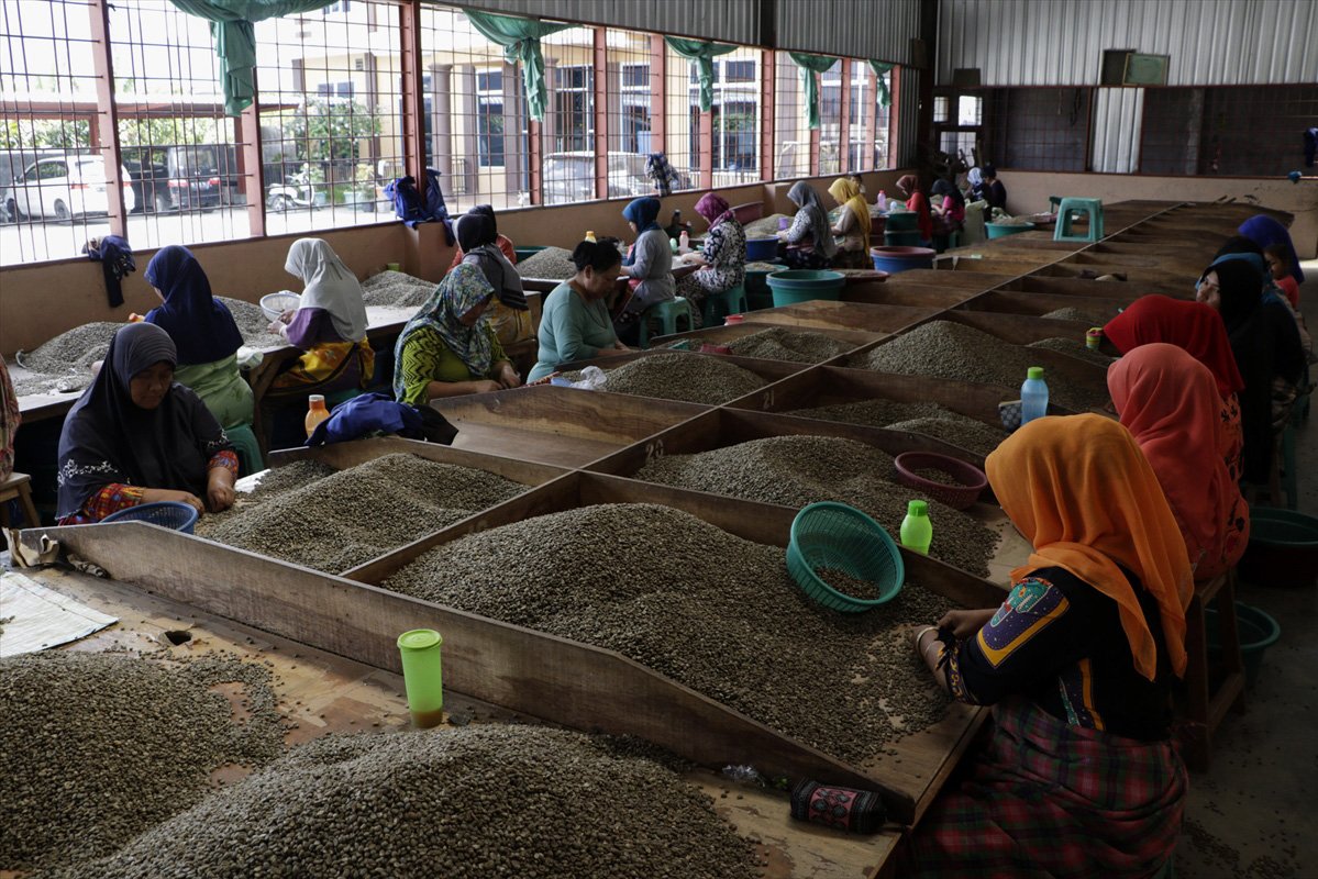Meskipun proses pengolahan kopi di kawasan ini masih tradisional, namun banyak eksportir yang datang ke Gayo untuk membeli kopi. 