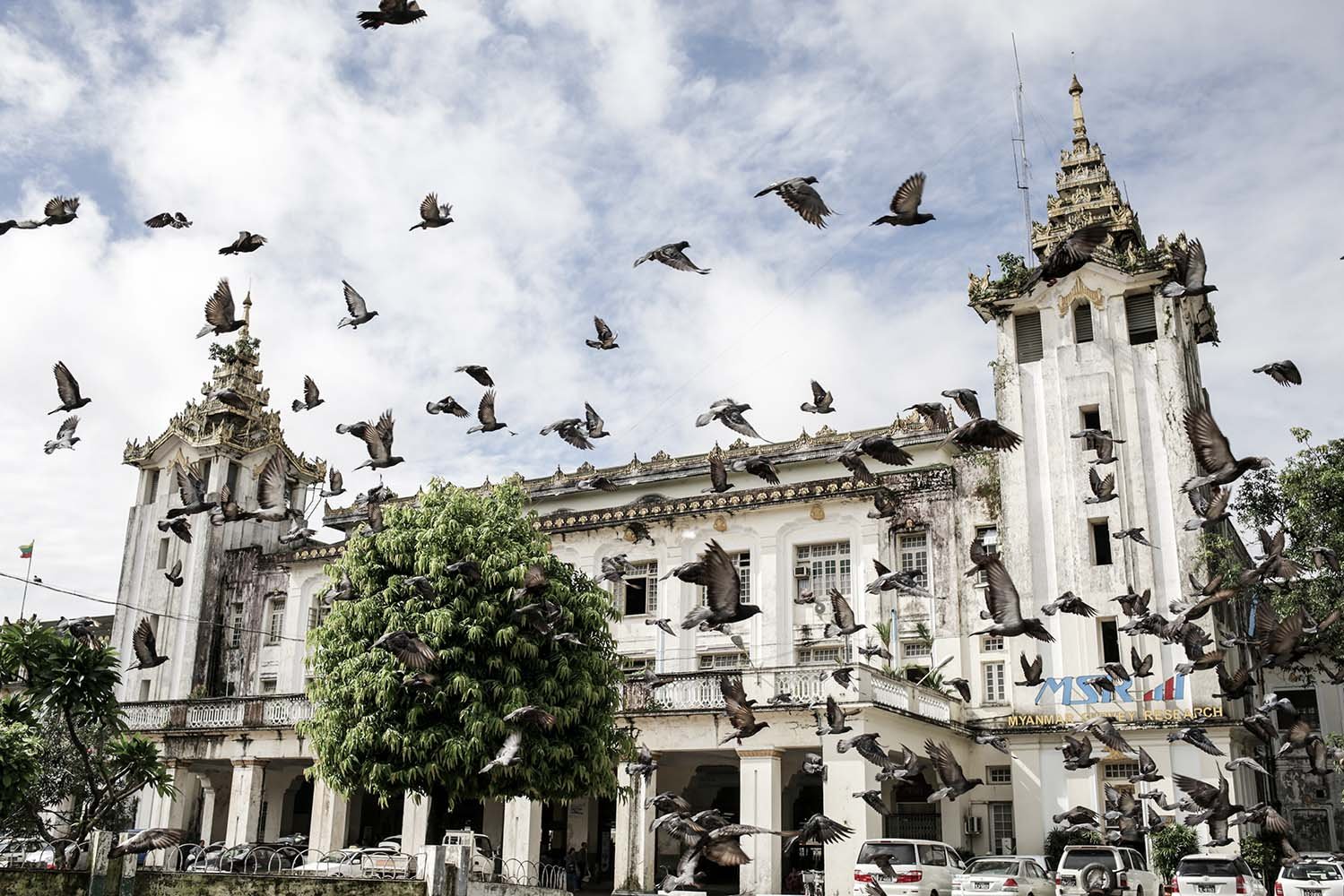 Burung merpati dan gagak beterbangan diatas Yangon Central Station, Yangon, Myanmar.