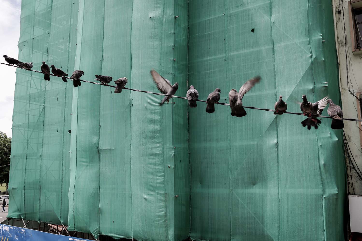 Burung-burung merpati hinggap di antara proyek pembangunan gedung di pusat kota Yangon, Myanmar. Perlahan-lahan investor mulai menanamkan investasinya di sejumlah proyek infrastruktur.