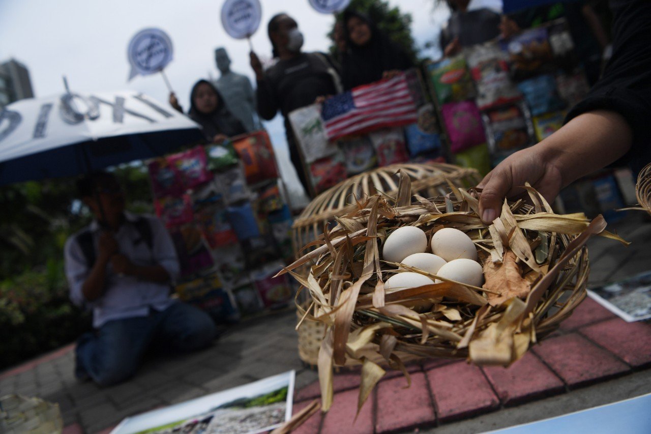Aktivis Lingkungan Ecoton menyerukan agar pemerintah menegakkan aturan terkait larangan bakar sampah plastik karena diduga akibat pembakaran sampah plastik ini menyebabkan ayam kampung di Tropodo, Sidoarjo terancam teracuni dioksin dan berdampak pada telur yang dihasilkannya. 