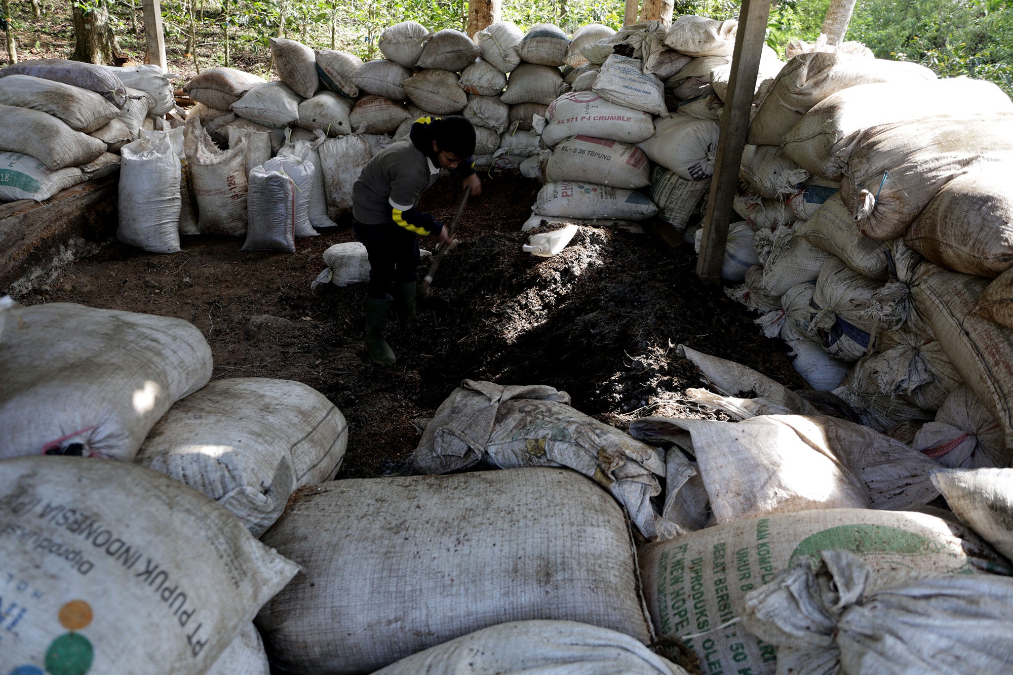 Pupuk merupakan faktor penentu kualitas kopi. Di perkebunan Mountain Malabar Coffee, pupuk organik dibuat sendiri (15/11/2019). 