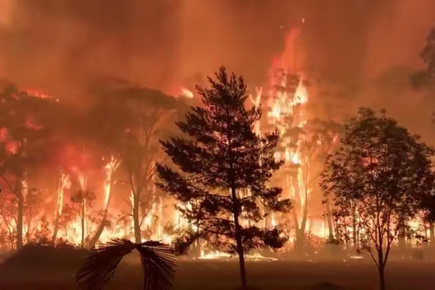 Api membakar seluruh hutan terlihat dari Gunung Tomah di New South Wales, Australia, Minggu (15/12/2019), dalam gambar yang didapatkan dari video media sosial.