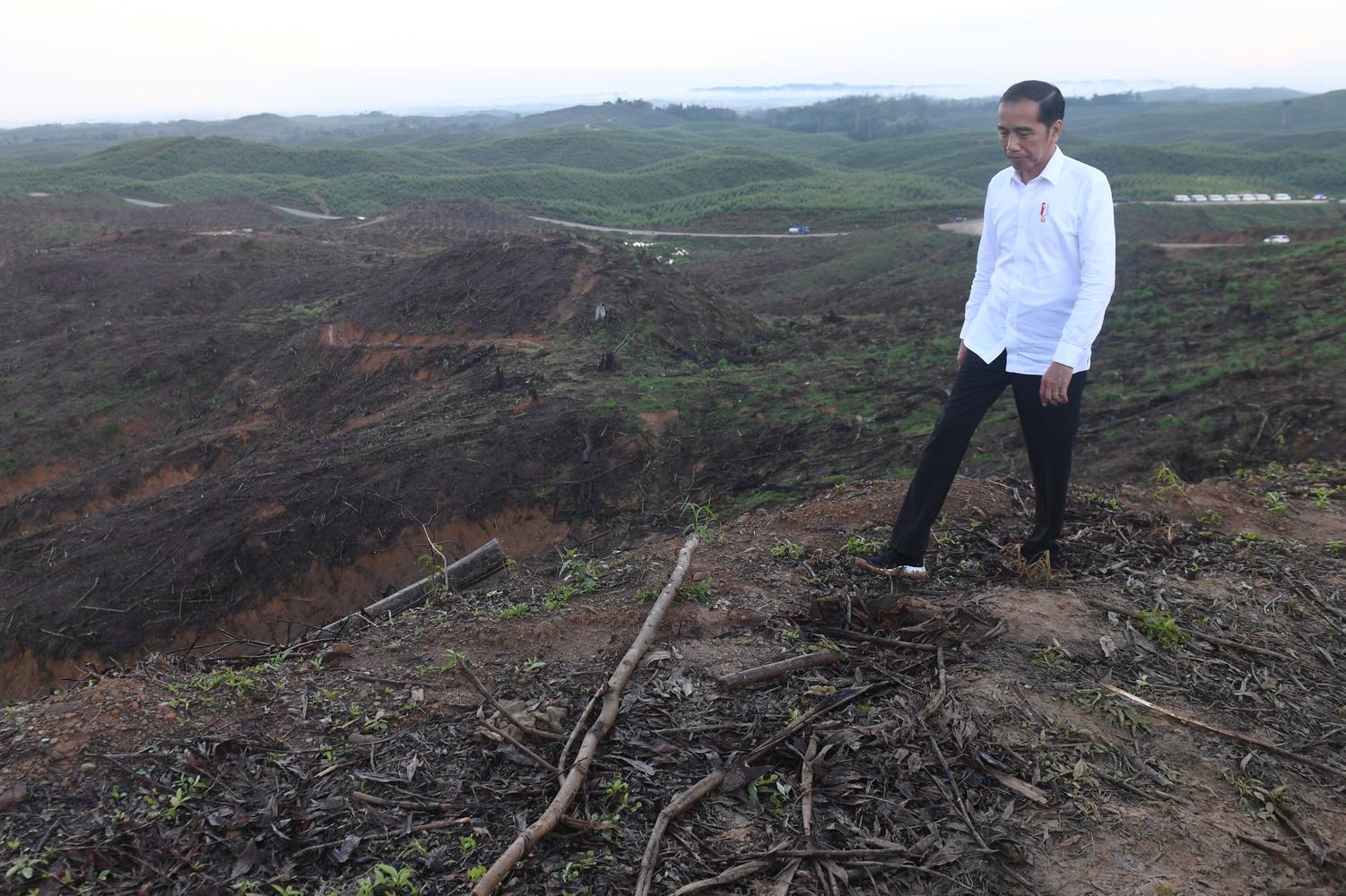 Presiden Joko Widodo meninjau lokasi rencana ibu kota baru di Sepaku, Penajam Paser Utara, Kalimantan Timur, Selasa (17/12/2019).