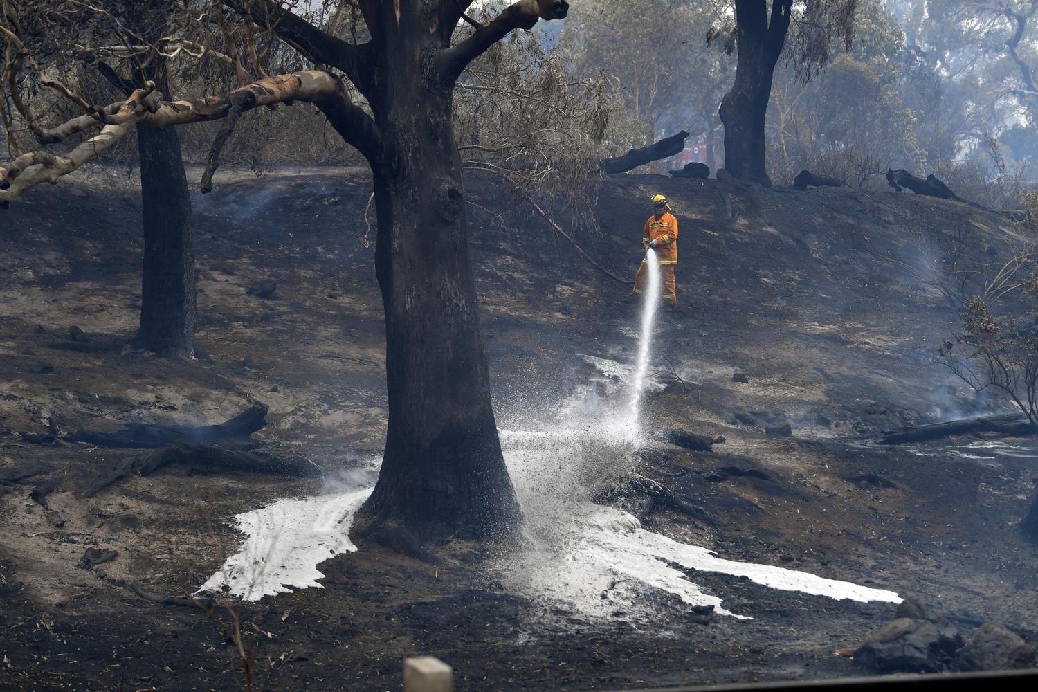 Seorang pemadam kebakaran CFA menyemprotkan air setelah api menjalar ke Clovemont Way, Bundoora di Melbourne, Australia, Senin (30/12/2019).