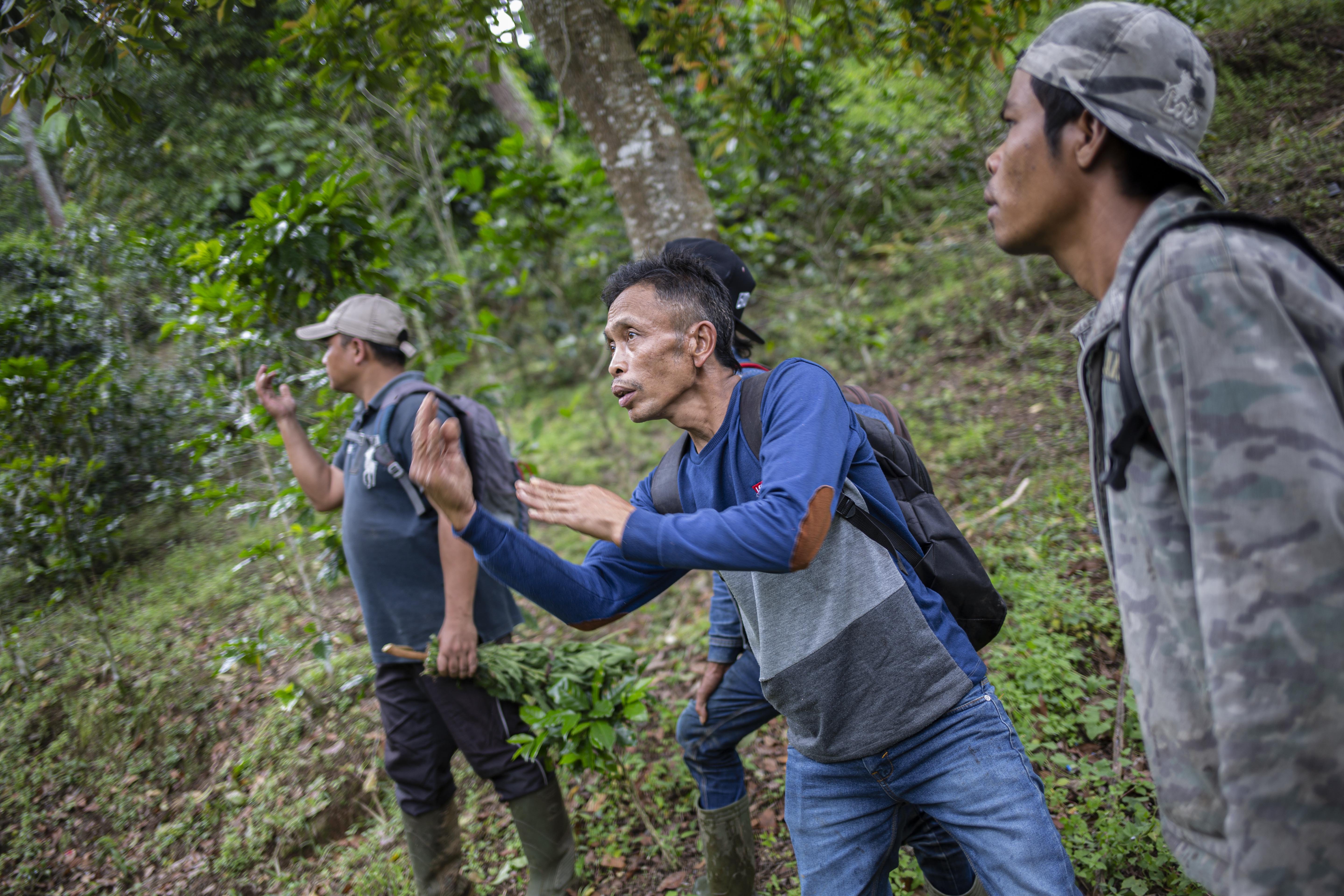 Koswara, Yayat, Asang dan Ubet berbincang di tengah-tangah perburuan mereka mencari madu di tengah Hutan Palalangon, Minggu (1/3/2020).