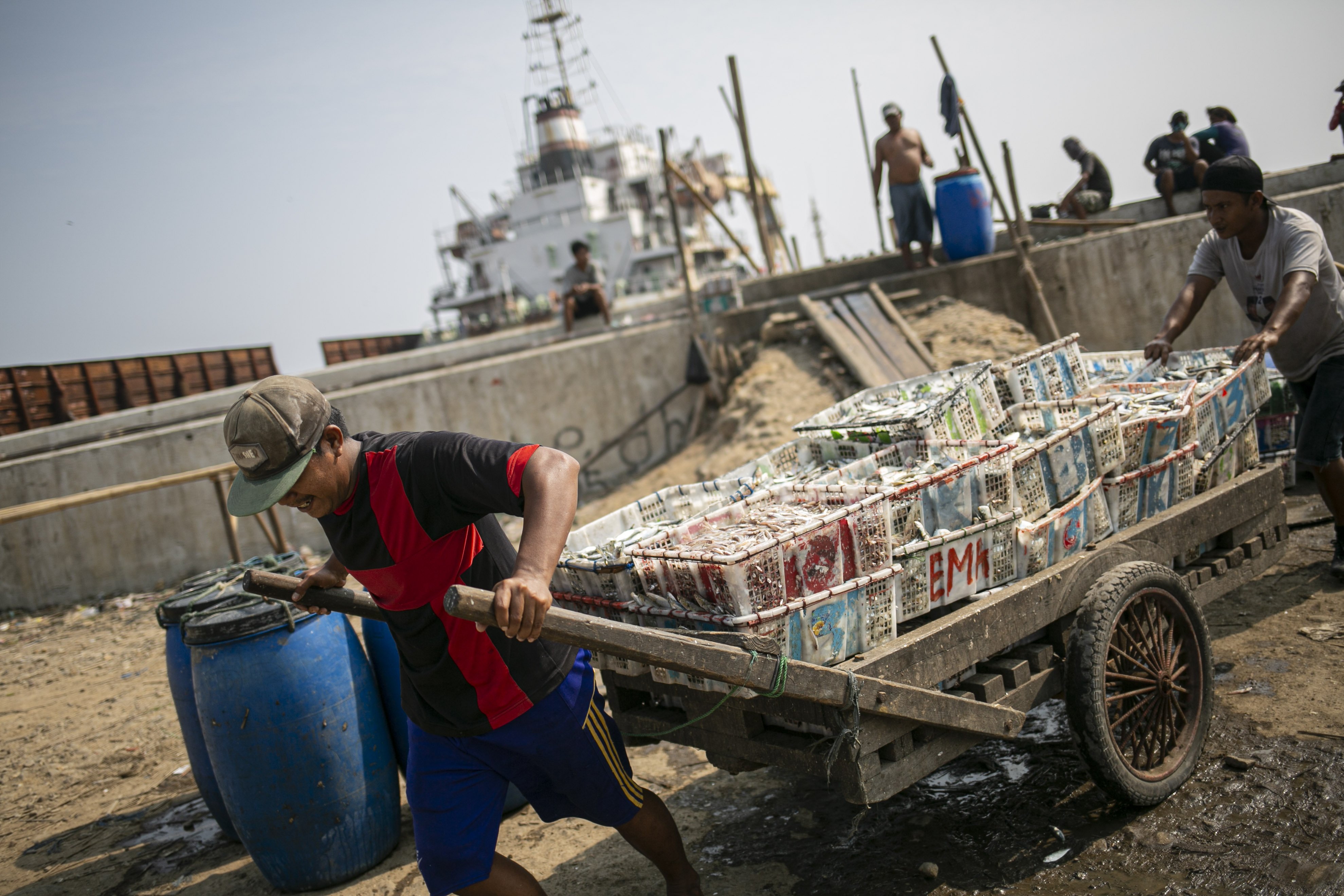Sejumlah nelayan mengangkut ikan hasil tangkapan di Kampung Nelayan, Jakarta Utara, Minggu (9/8/2020). Kesatuan Nelayan Tradisional Indonesia (KNTI) mengklaim penurunan penjualan tangkapan nelayan mencapai 21 persen dan pendapatan hingga 90 persen akibat merebaknya virus covid-19.