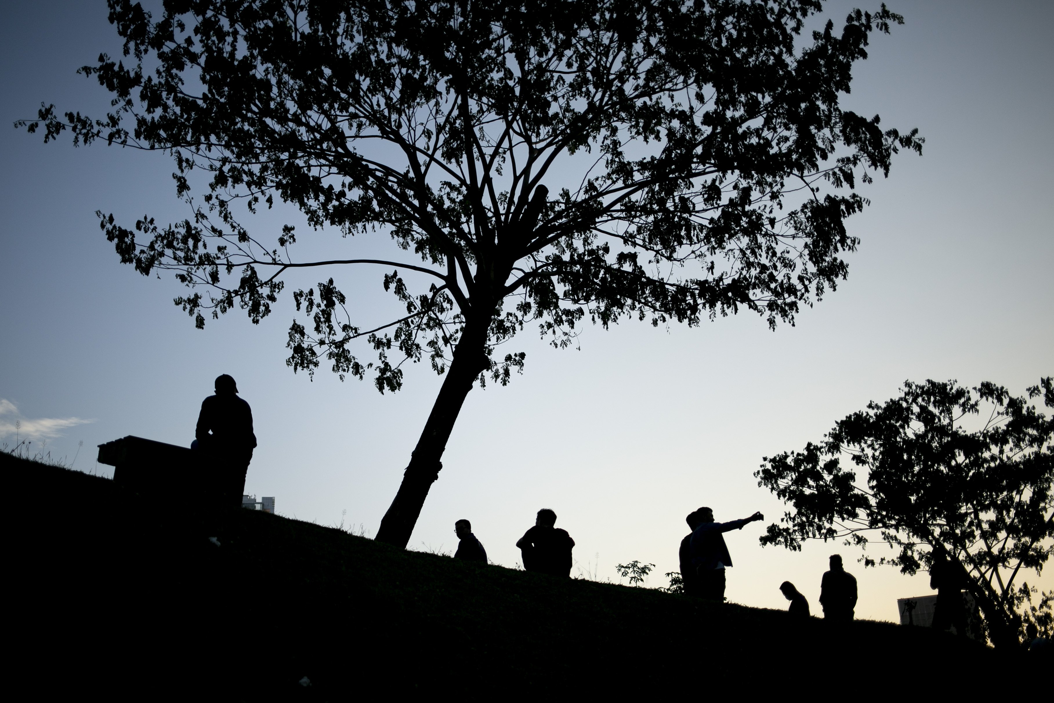 Warga beraktivitas di Hutan Kota Gelora Bung Karno (GBK), Senayan, Jakarta, Sabtu (22/08/2020). Pengunjung memanfaatkan pemandangan dan suasana Hutan Kota GBK untuk menghabiskan libur akhir pekan di tengah pandemi Covid-19, dengan tetap menerapkan protokol kesehatan seperti berjaga jarak dan menggunakan masker.