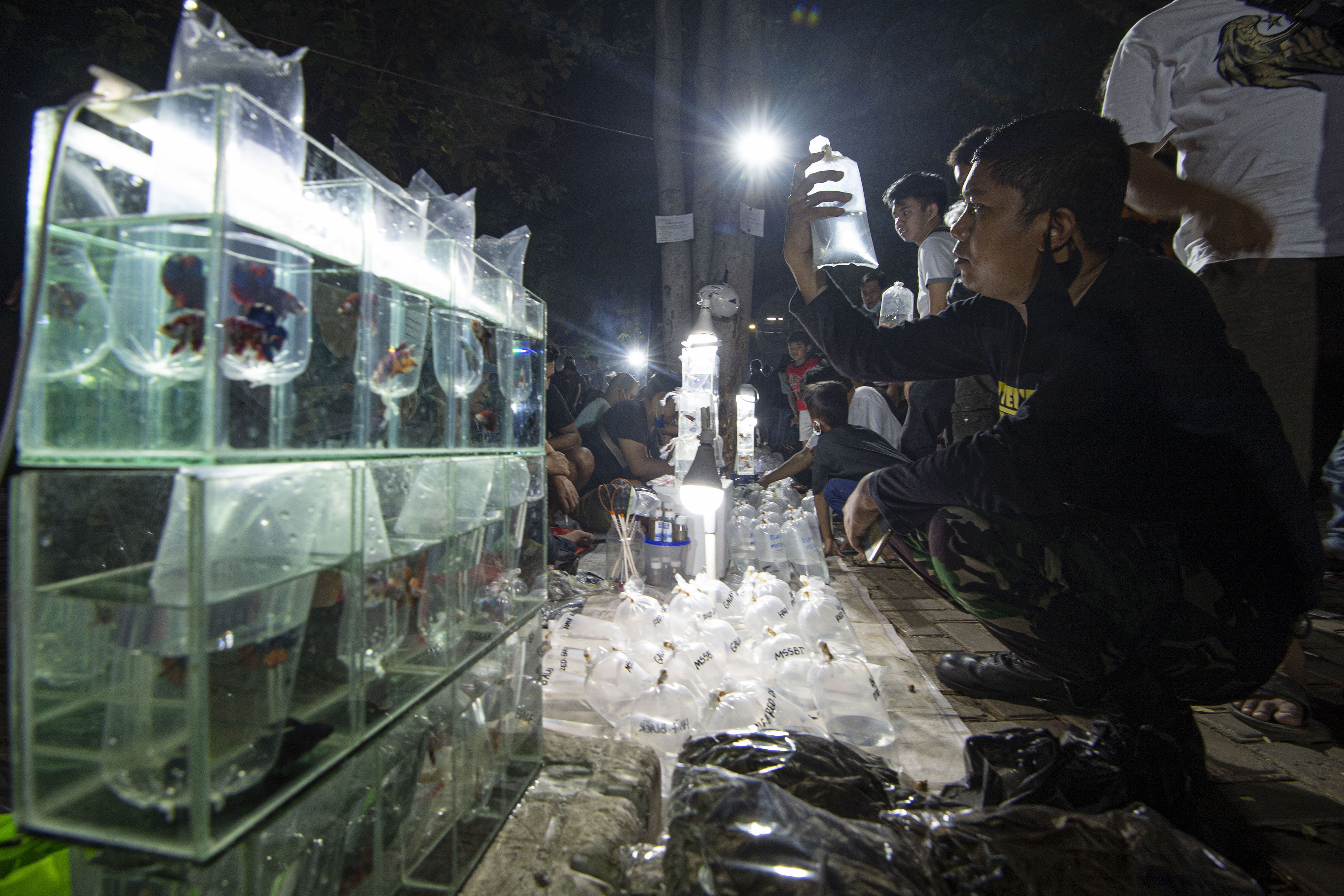 Warga mengamati ikan-ikan cupang yang dipasarkan di Lapangan Parkir Pasar Ikan Hias Jatinegara.