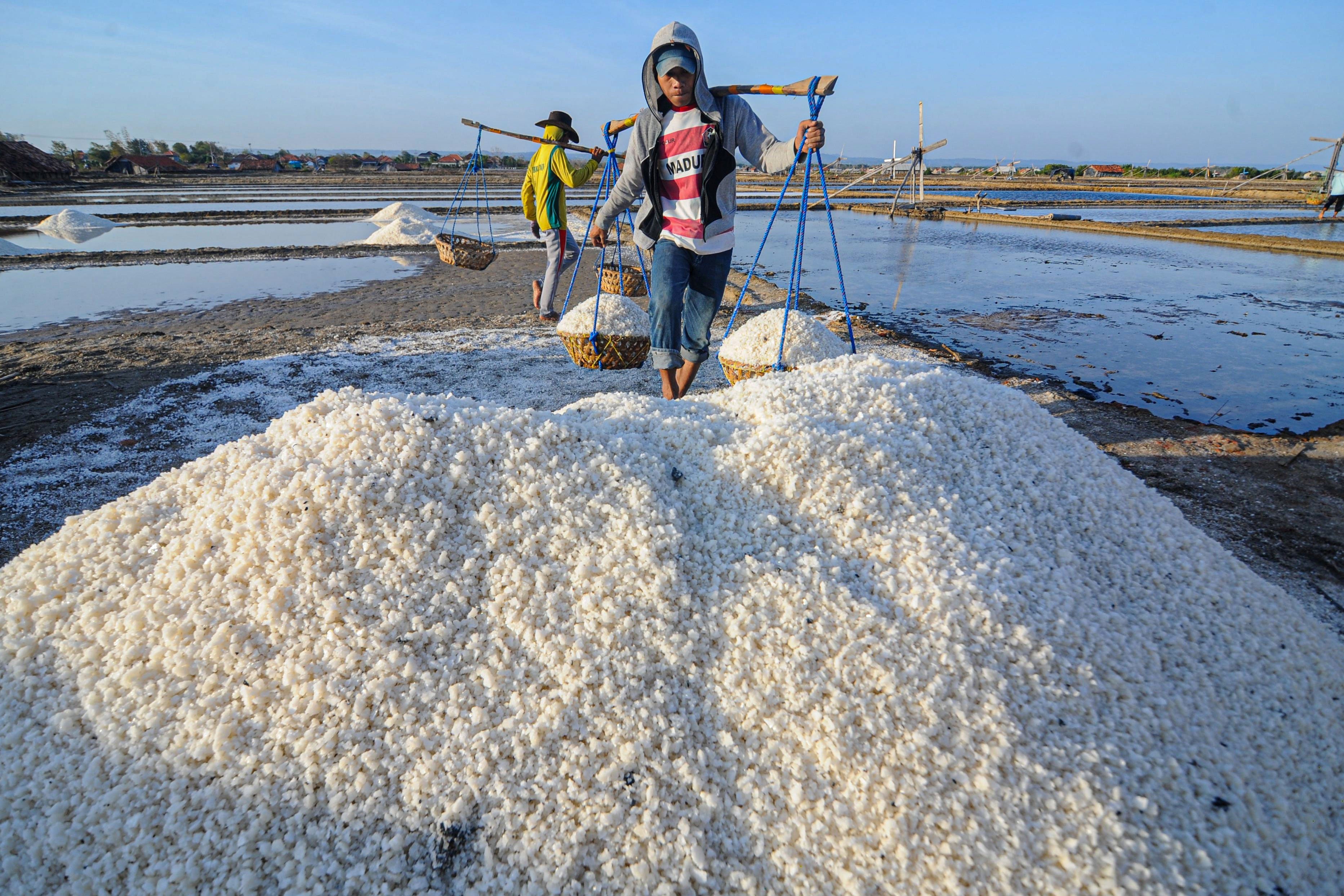 Petani memanen garam di Desa Bunder, Pademawu, Pamekasan, Jawa Timur.\r\n