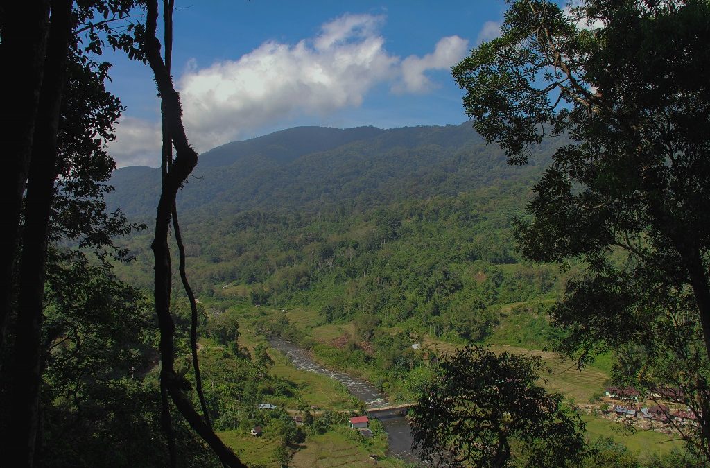 Sungai Rantau Kermas di Hutan Adat Rantau Kermas Jambi 