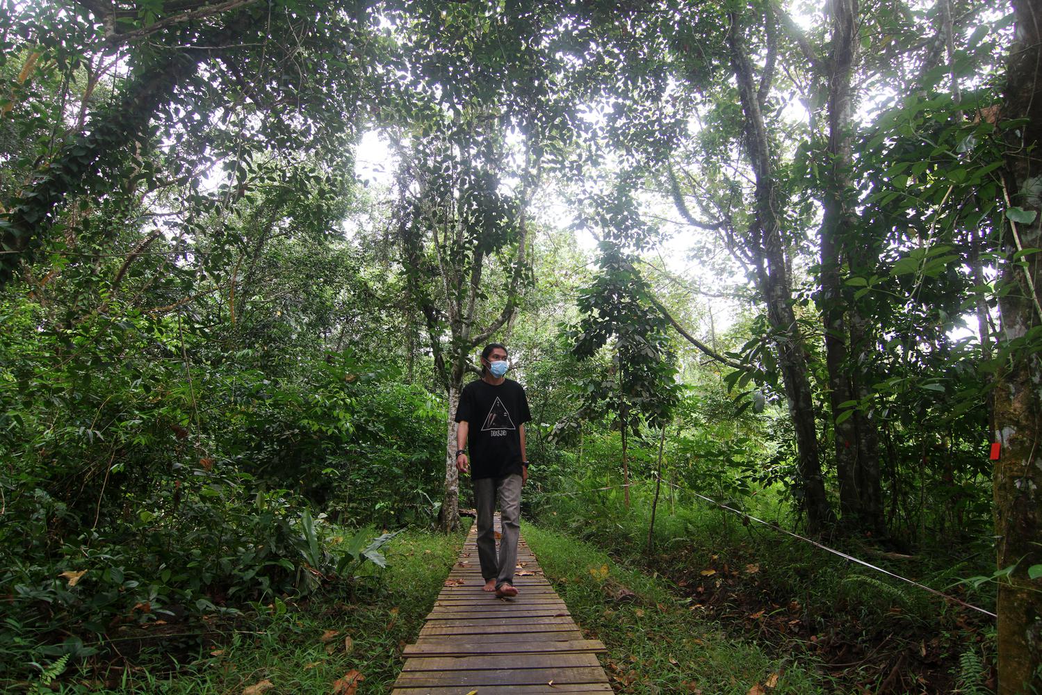 ARBORETUM SYLVA UNTAN PONTIANAK