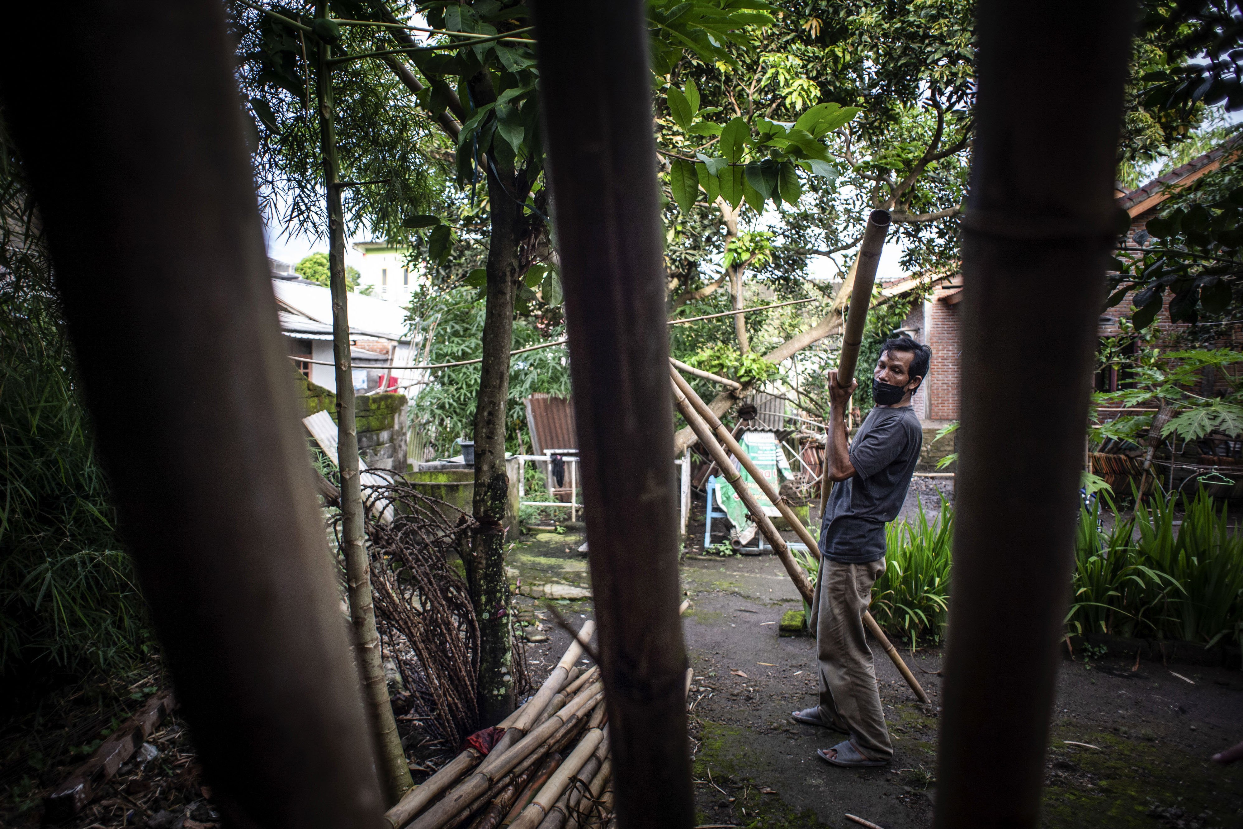 Agus Hartadi memeriksa kondisi bambu yang akan di potong sebagai bahan pembuatan anyaman bambu di Desa Loyok, Sakra, Lombok Timur.
