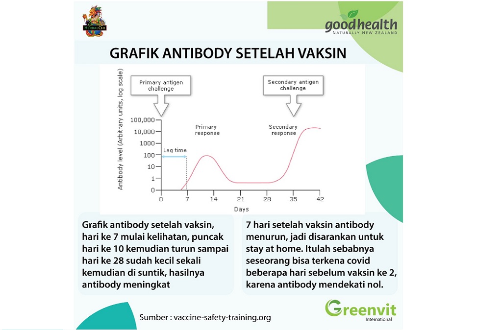 antibodi vaksin