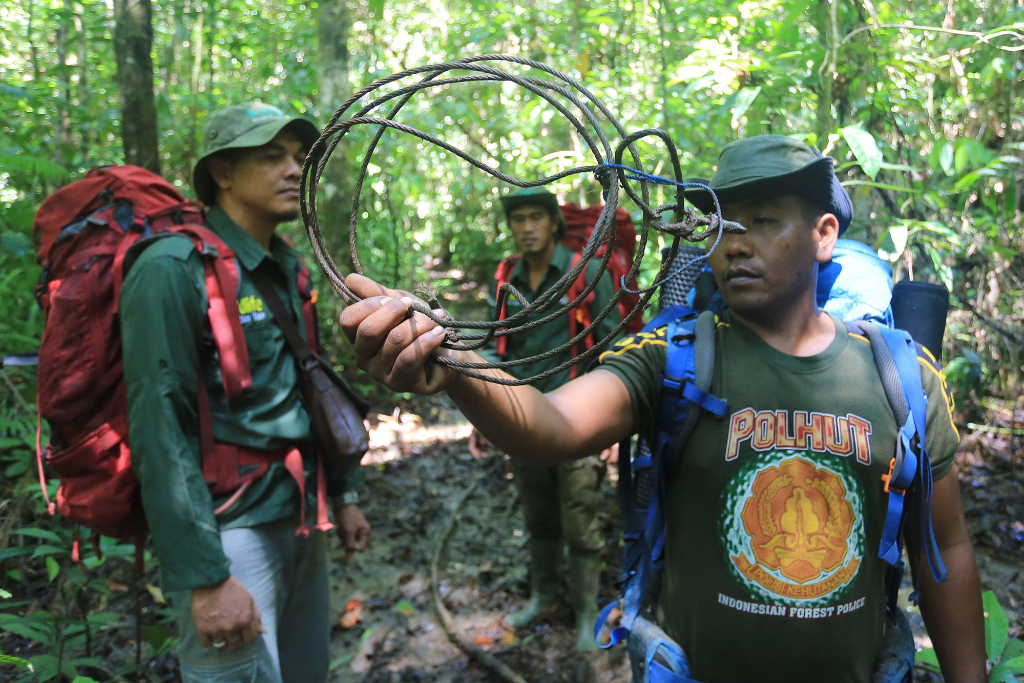 Tim Jagawana menunjukkan jerat satwa yang ditemukan di perlintasan Kawasan Ekositem Leuser saat berpatroli