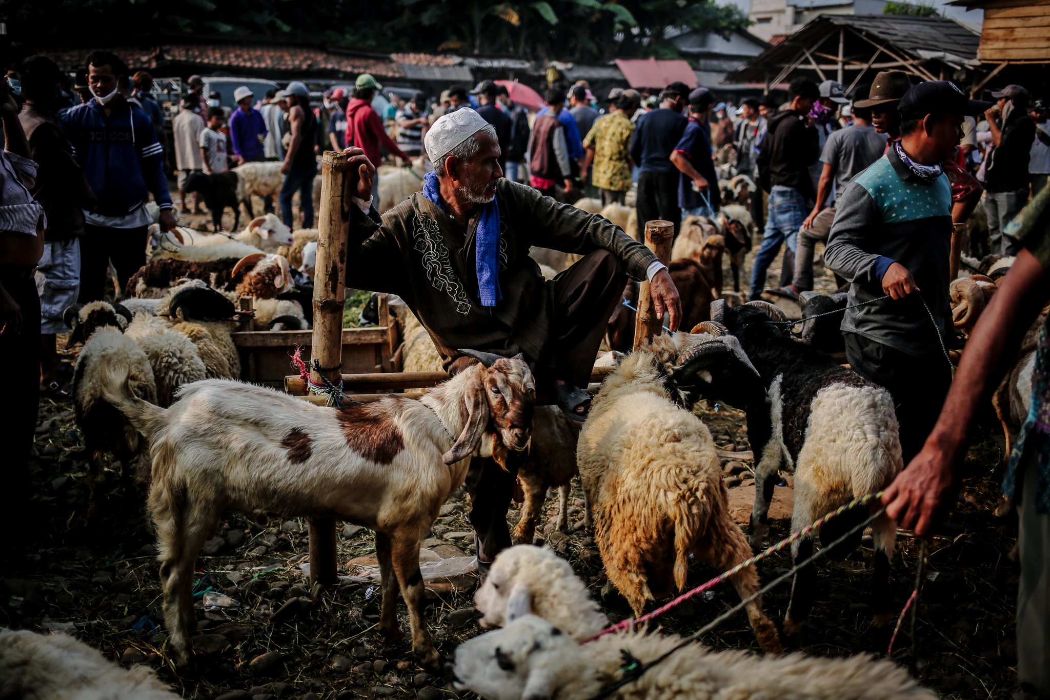 Penjual hewan kurban menjajakan hewan dagangannya di Pasar Hewan Jonggol, Kabupaten Bogor, Jawa Barat, Senin (19/7/2021). Meski dipadati pengunjung para pedagang alami penurunan omzet hingga 20% akibat PPKM Darurat.