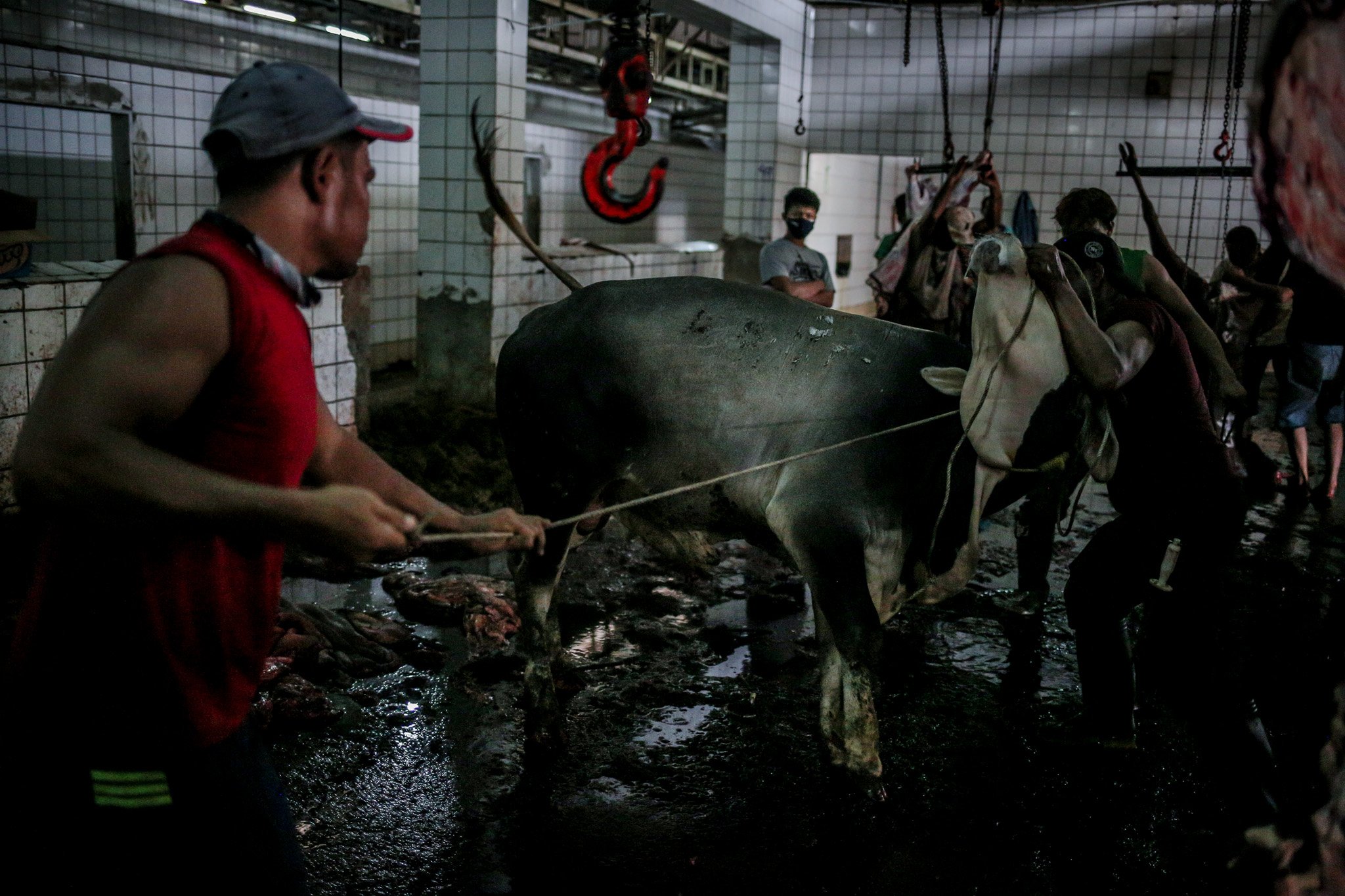 Petugas menyelesaikan pemotongan hewan kurban di Rumah Potong Hewan (RPH) PD Dahrma Jaya, Penggilingan, Cakung, Jakarta, Rabu, (21/7/2021).