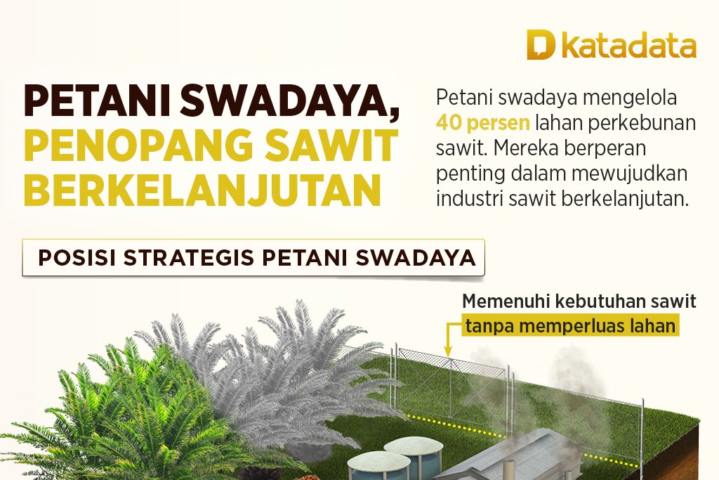 Infografik_Petani Swadaya, Penopang Sawit Berkelanjutan