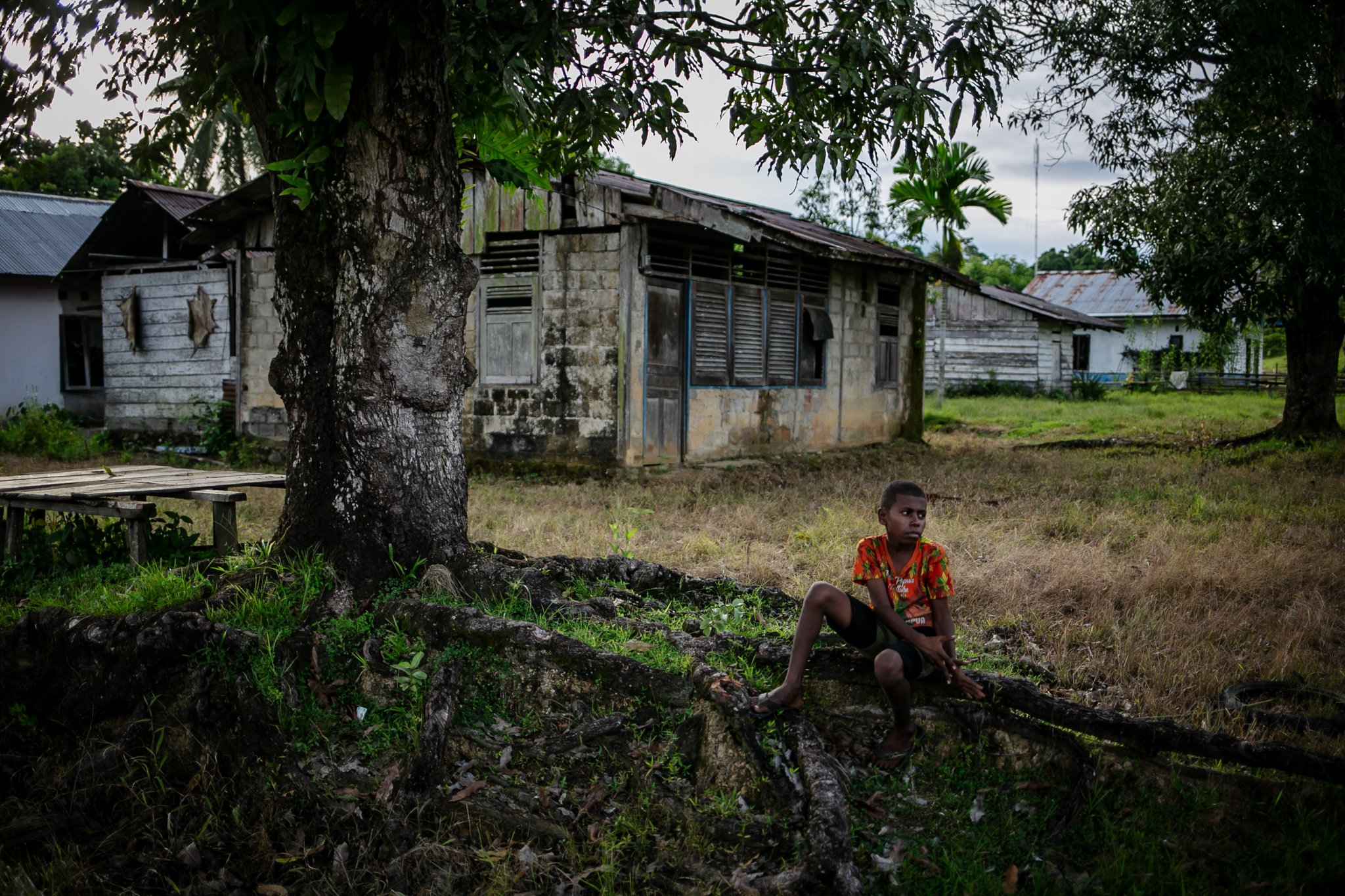 Sejumlah anak duduk di atas akar pohon di Distrik Segun, Kabupaten Sorong, Papua Barat, Minggu, (19/9/2021). Tak banyak anak remaja di kampung adat ini, sebagian besar anak-anak berusia 13-20 yang melanjutkan pendidikan tingkat menengah dan atas harus menginap di ditrik lain karena hanya sekolah dasar yang ada disana.